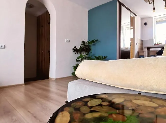 Rare View * 普罗夫迪夫