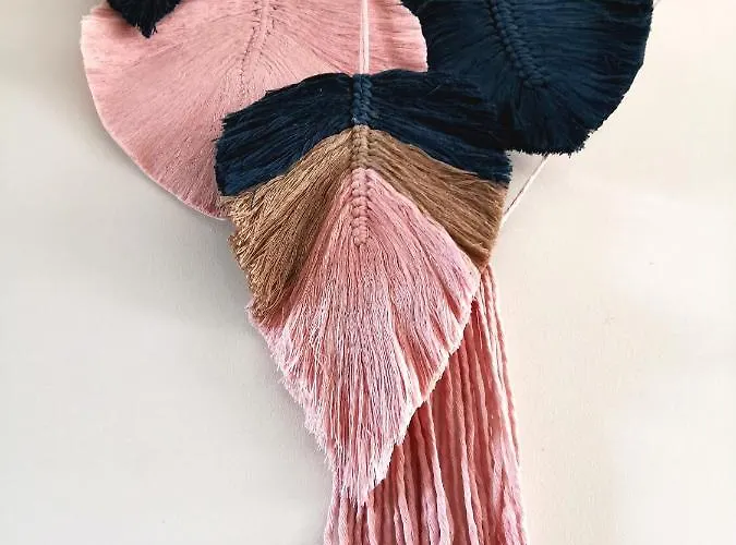 Rare View 普罗夫迪夫