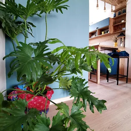 Rare View Apartment *