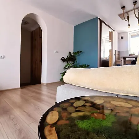 Rare View * 플로브디프